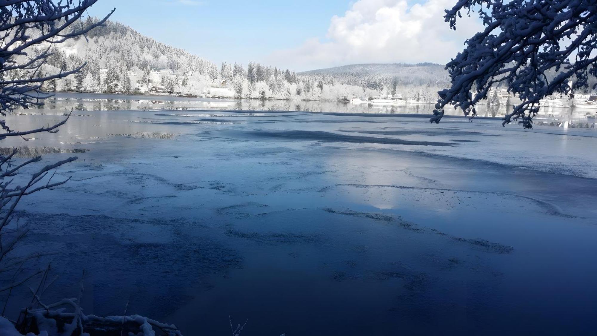 Ferienhaus Am Roesslewald Breitnau Exteriör bild